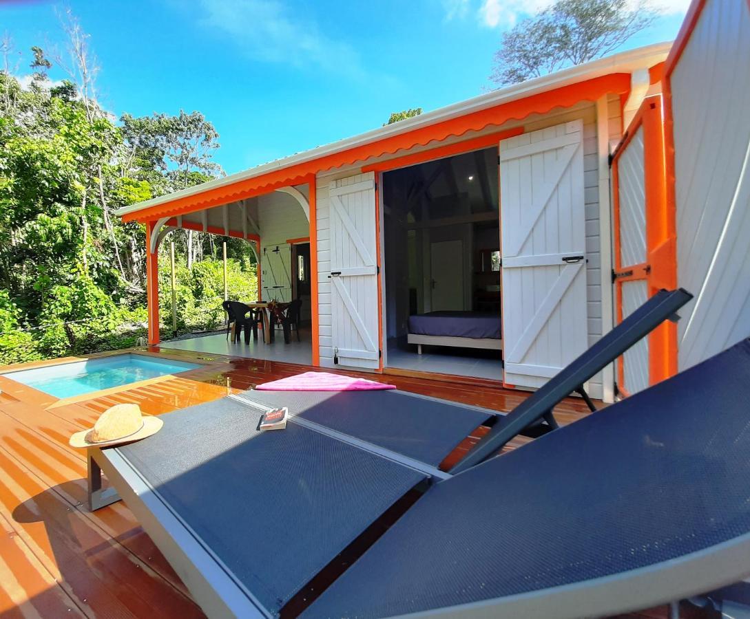 Caraibes Cottages Corail Deshaies Exteriör bild