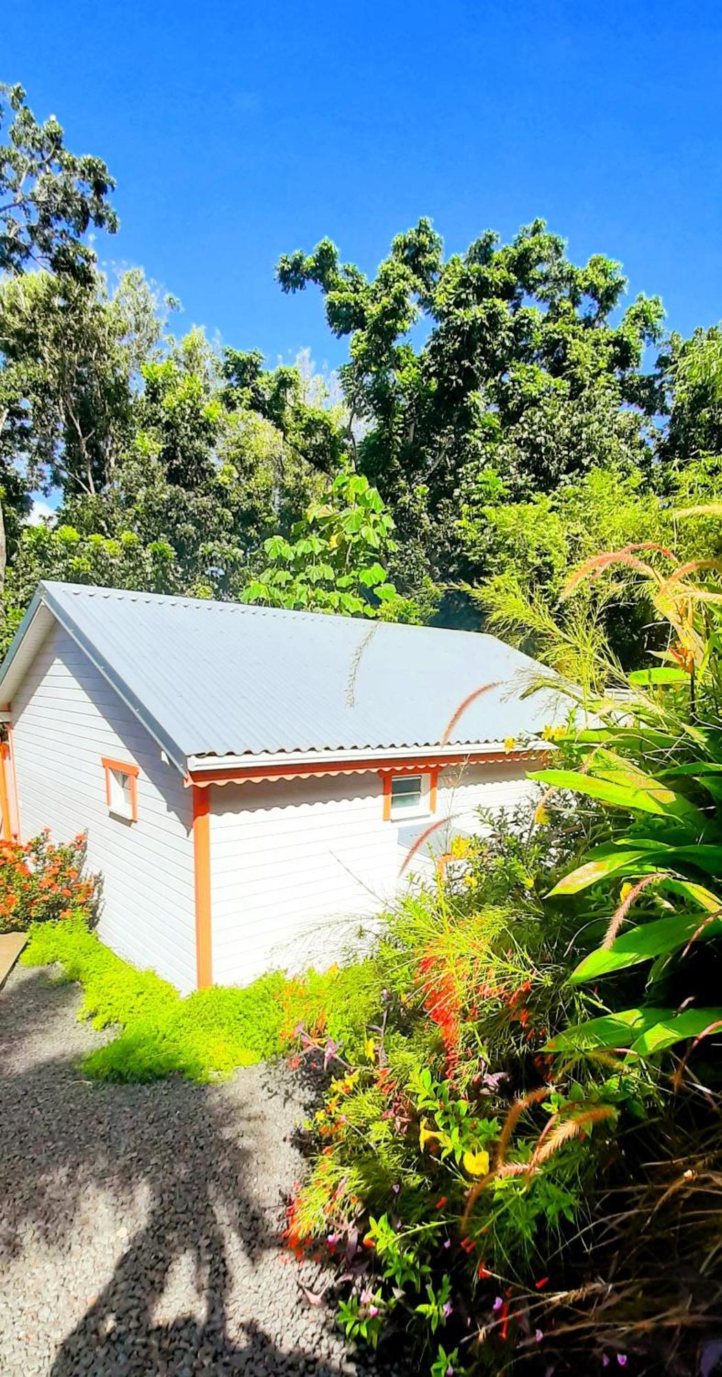 Caraibes Cottages Corail Deshaies Exteriör bild