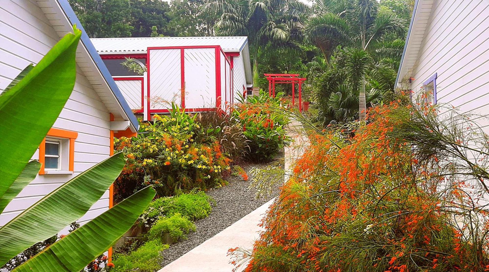 Caraibes Cottages Corail Deshaies Exteriör bild