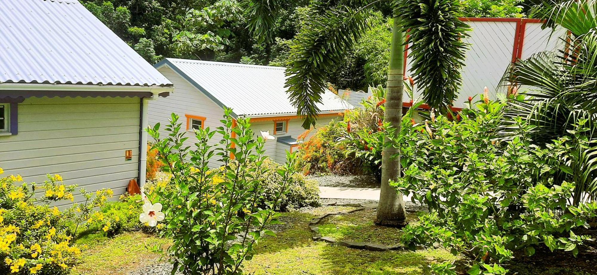 Caraibes Cottages Corail Deshaies Exteriör bild